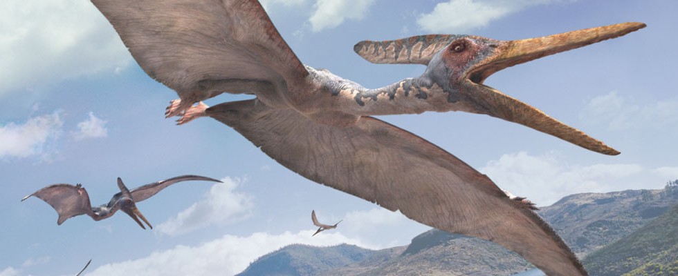 Resultado de imagen para pteranodon