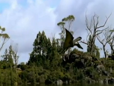 pterosaur walking