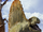walking with monsters dimetrodon