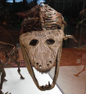 1200px-Mastodonsaurus giganteus