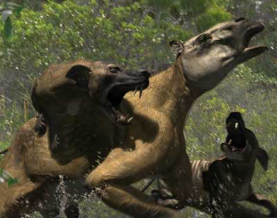 hyaenodon walking with wikis fandom powered by wikia hyaenodon size