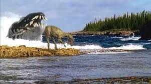 Wwdcruelsea