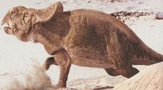 Protoceratops