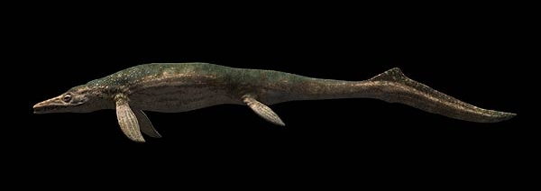 walking with dinosaurs megalodon