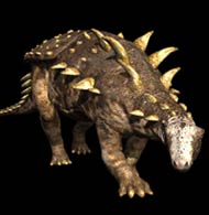Polacanthus p1