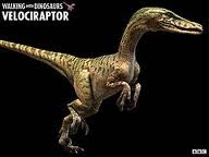 walking with dinosaurs velociraptor walking with dinosaurs velociraptor