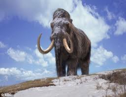Woolymammothwwb2
