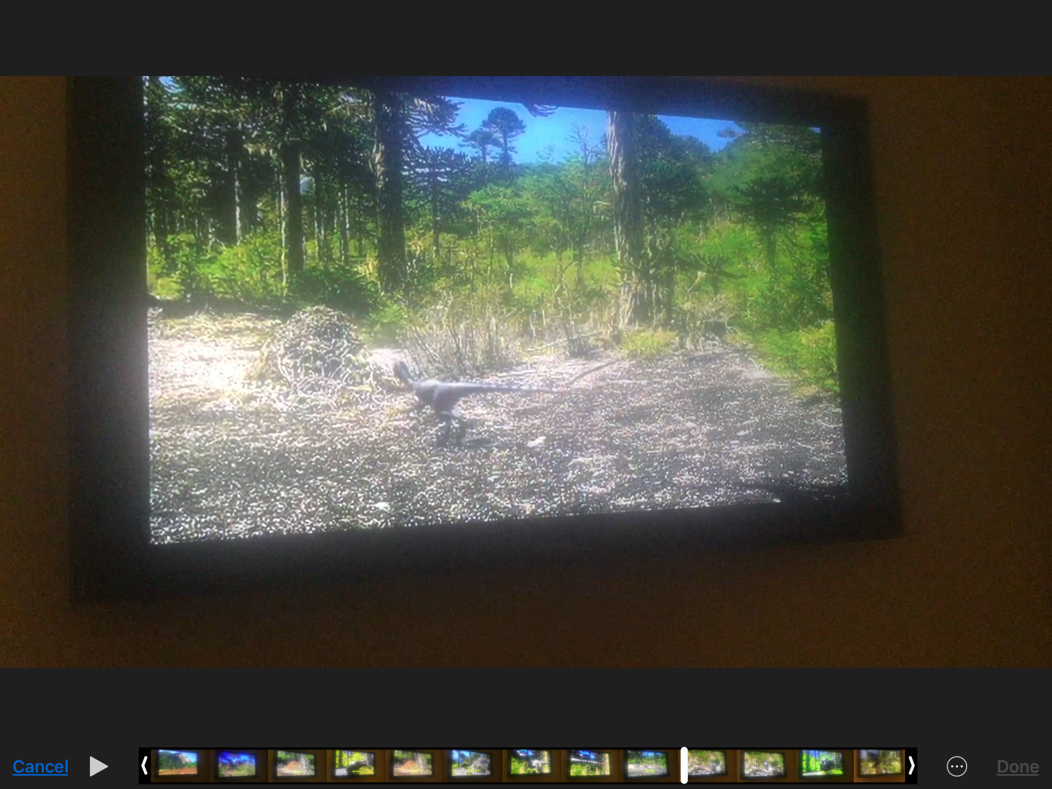 walking with dinosaurs dromaeosaurus