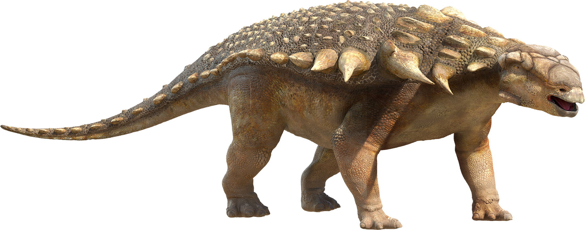 edmontonia dinosaur