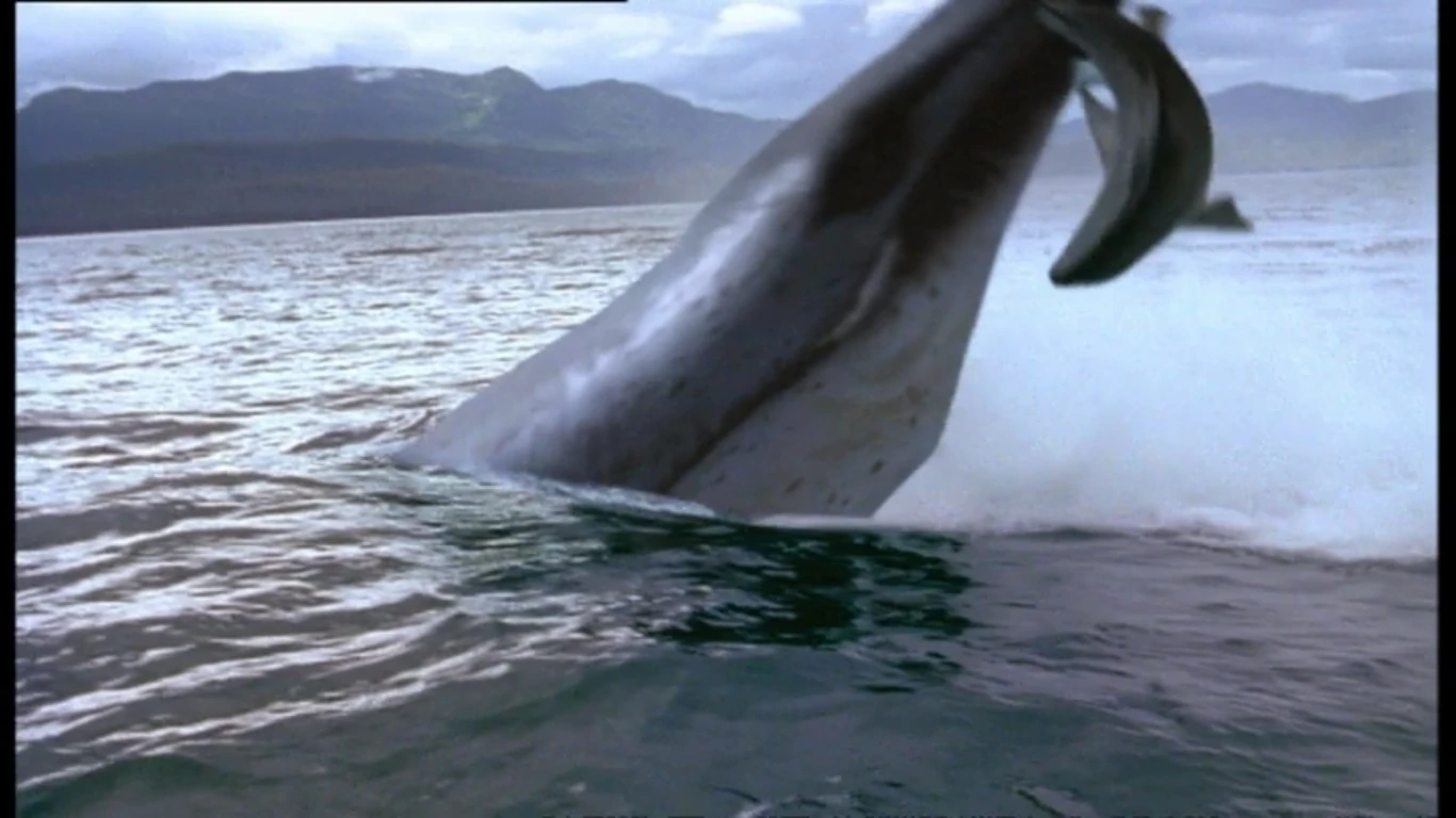 Image Basilosaurus.jpg Walking with Dinosaurs Wiki FANDOM powered