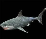 walking with dinosaurs trilogy