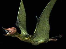 Rhamphorhynchus!