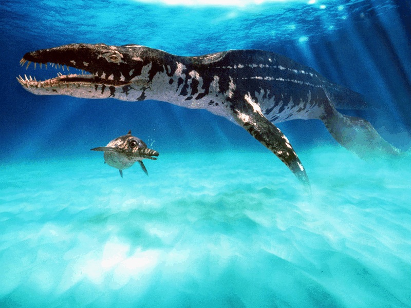 walking with dinosaurs cruel sea