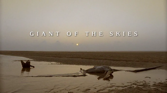 Giant of the Skies | Walking with 