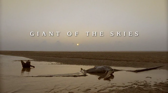 walking with dinosaurs giant of the skies