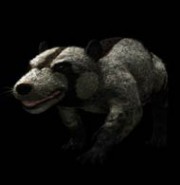 Didelphodon!