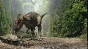Allosaurus WWD