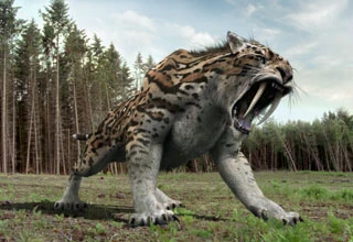 File:Prim Sabertooth.jpg