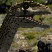 walking with dinosaurs giant of the skies