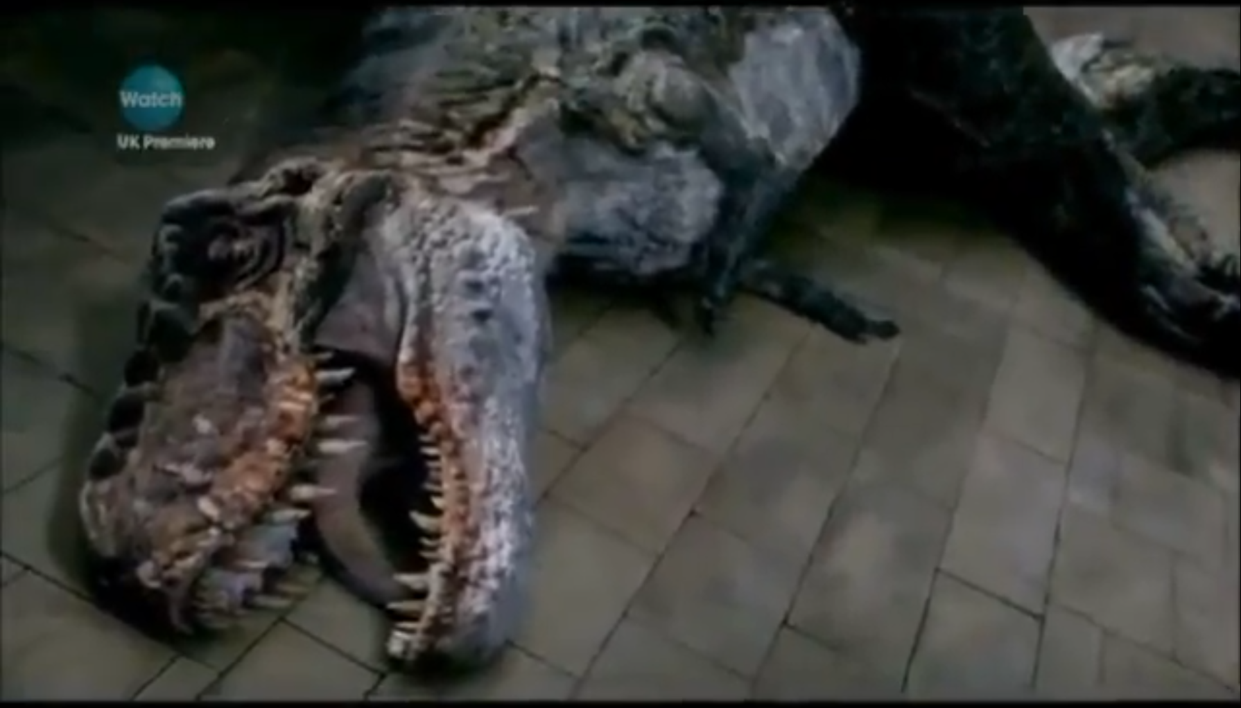 Tyrannosaurus rex Walking with Dinosaurs Wiki FANDOM powered by Wikia
