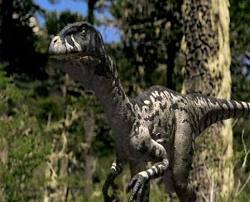 Dromaeosaurus wwd