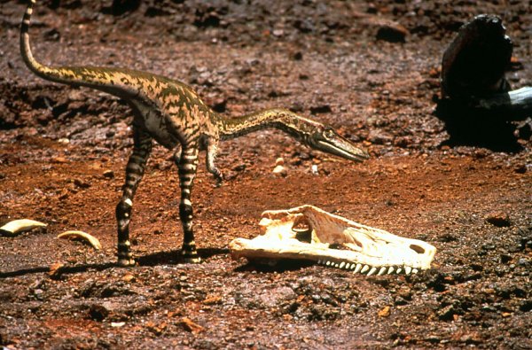 walking with dinosaurs triassic