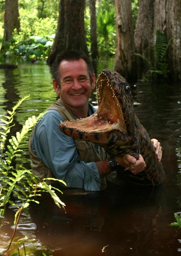 Crassigyrinus Walking with... Wiki FANDOM powered by Wikia