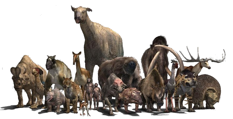 list of synonyms and antonyms of the word hyaenodon vs smilodon hyaenodon size