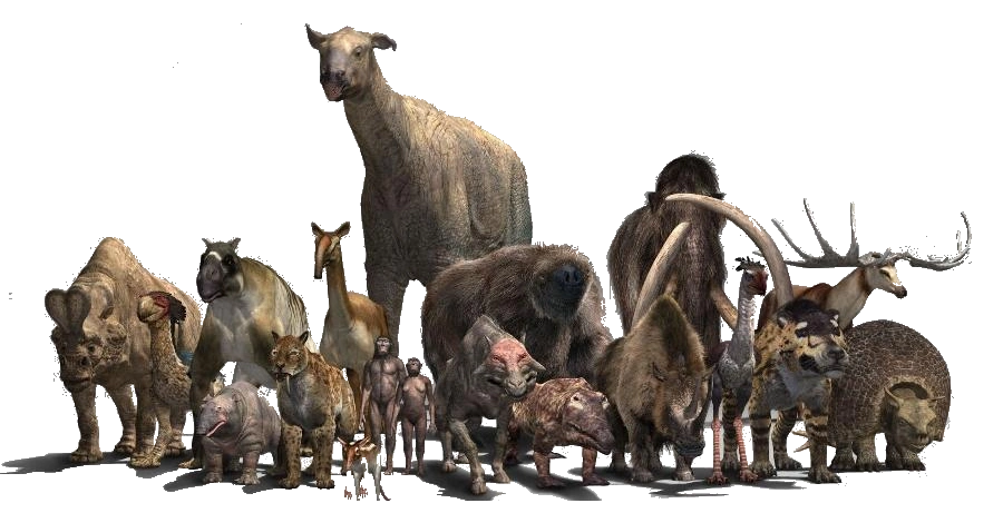 Image - The Beasts vector two.png | Walking with... Wiki | FANDOM