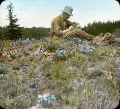 Botanist