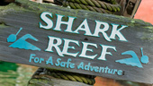 Wdw typhoon lagoon shark