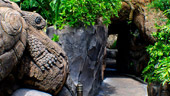 Wdw animal kingdom discoveryIslandTrails