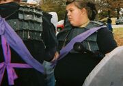 Sash example wiki