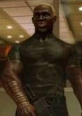 A picture of Brummel
