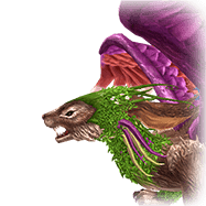 Fae1