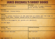 Cardbuzzanell2