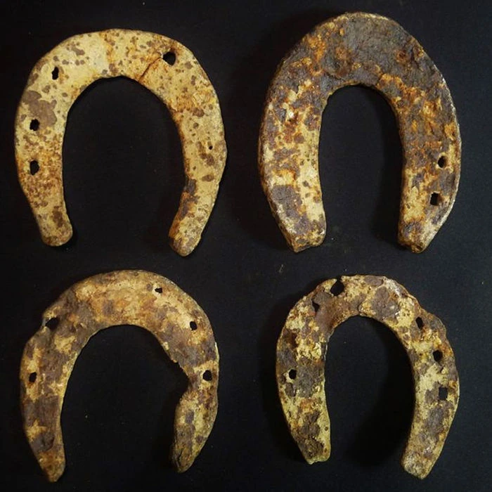 Horseshoes from the Execution of François Ravaillac Warehouse 13