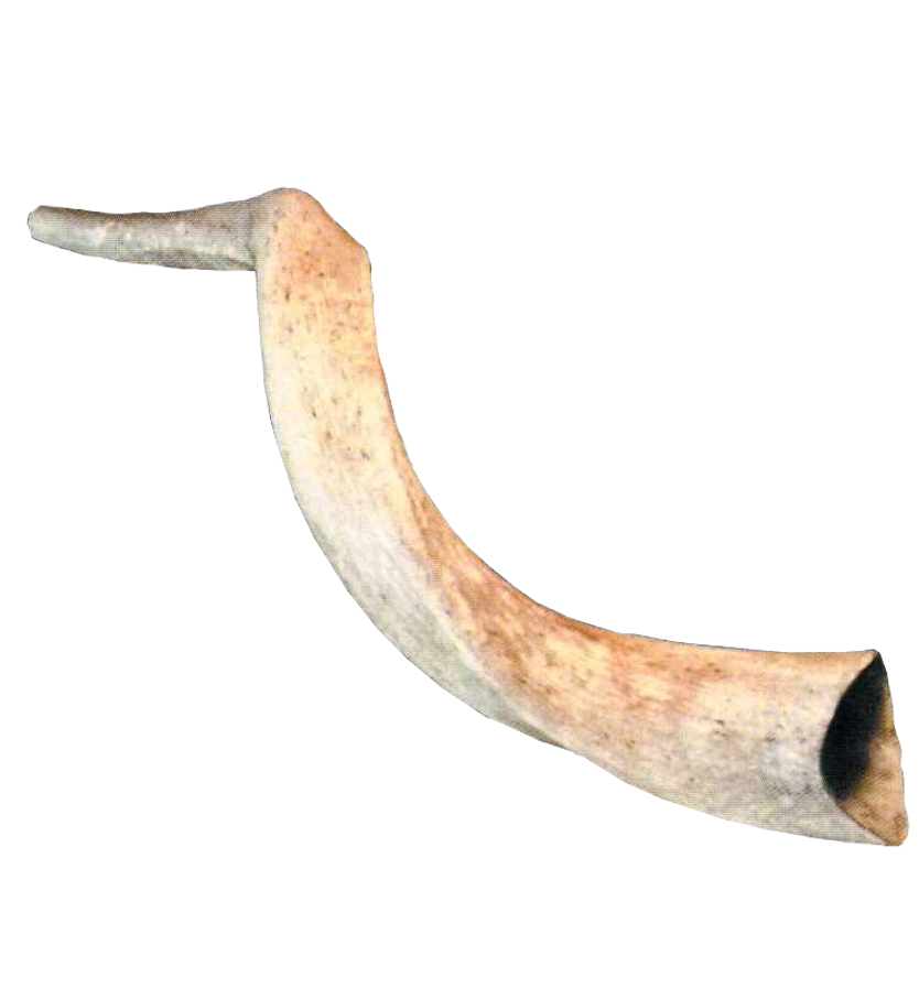 Joshua's Trumpet Warehouse 13 Wiki Fandom