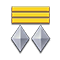 Rank 29