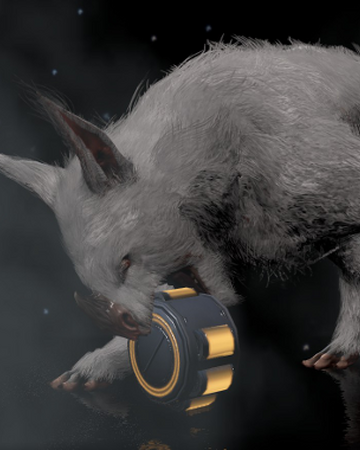 Kubrow Warframe Wiki Fandom