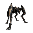QuadJackal