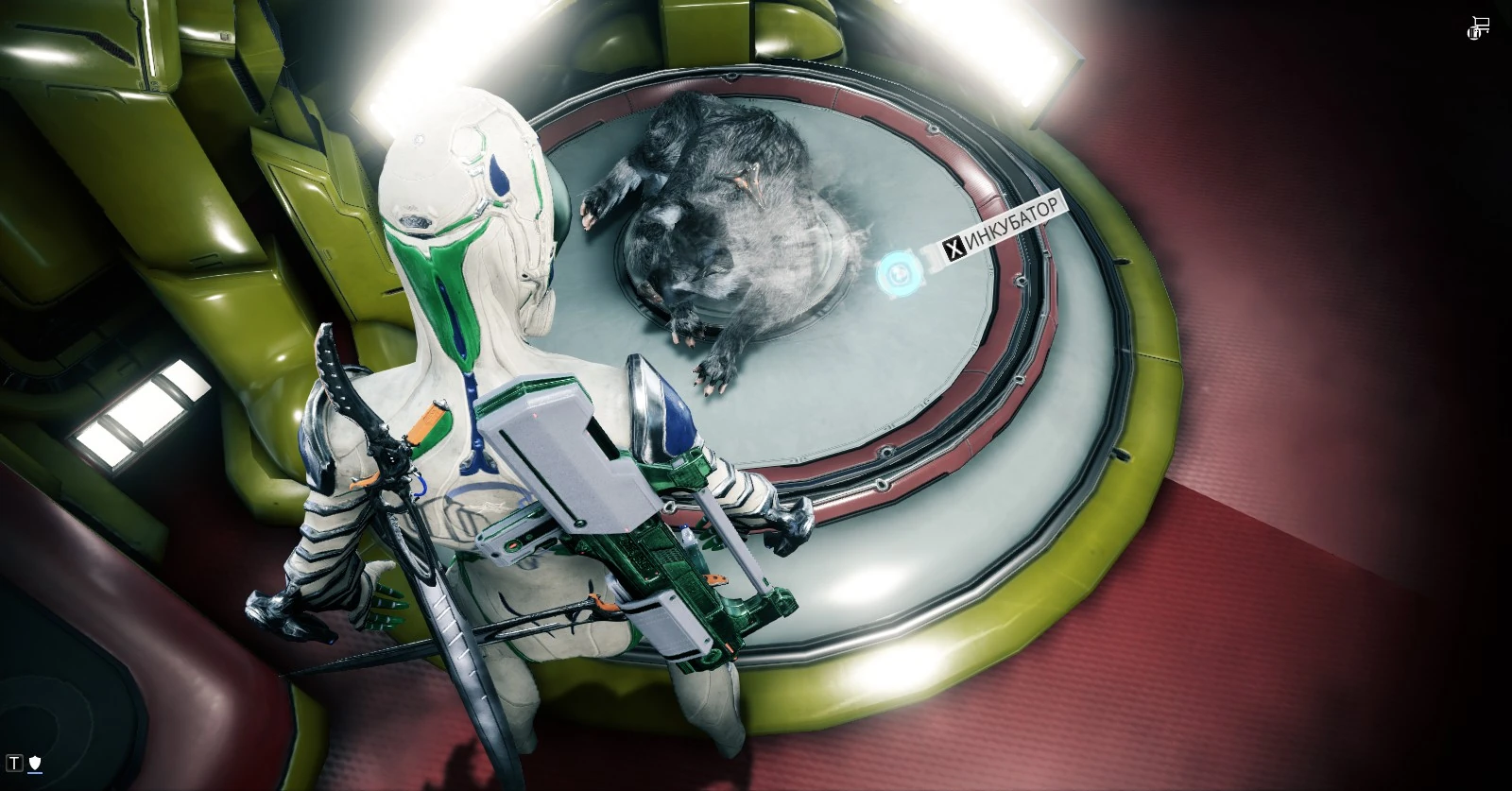 Warframe генератор ников
