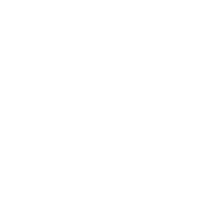 SlashDash