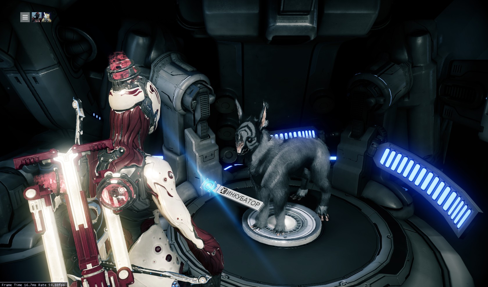 Warframe генератор ников