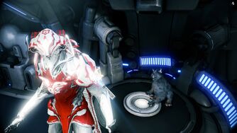 kubrow warframe wikia