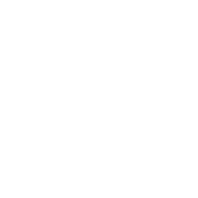 RadialJavelin