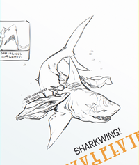 Sharkwing