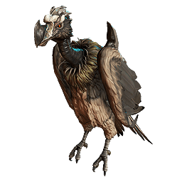 RÃ©sultat de recherche d'images pour "warframe vulture"