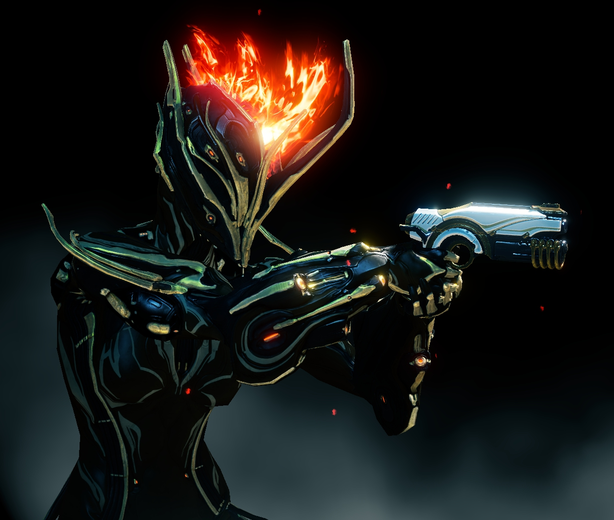 Warframe builder что это