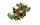Forma